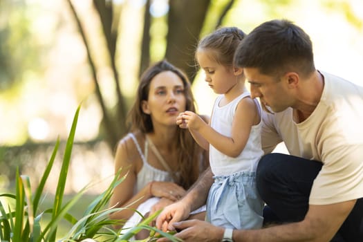 Family spending time in the park. Mid shot