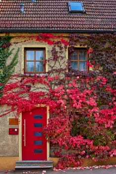 Wealthy suburb private house. Street of wealthy suburban residential houses in development housing project. A large private country house with a green trimmed lawn. Sunny summer day and blue sky. Entrance of luxury residential house with stone texture walls.