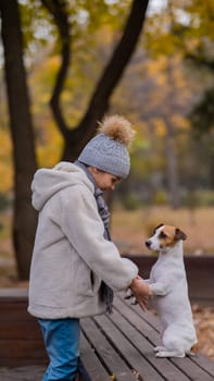 Caucasian girl holding a dog by the paws for a walk in the autumn park. Jack Russell Terrier stands on its hind legs on a bench