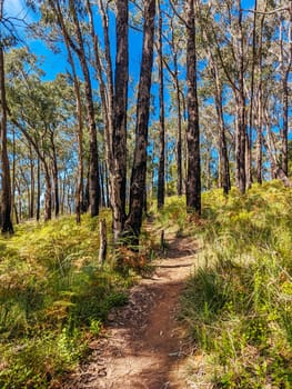 Mt Evelyn Aqueduct Trail Linear Reserve and surrounding landscape on a spring sunny day in Melbourne, Victoria, Australia