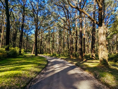 Silvan Rd and surrounding landscape on a spring sunny day in Melbourne, Victoria, Australia