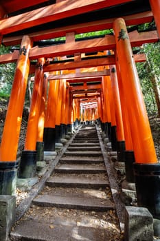 Kyoto, Japan - May 15 2019: Red Tori Gate at Fushimi Inari Shrine in Kyoto, Japan. One of the largest tourist attractions in Japan