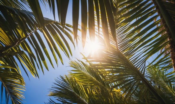 Palm leaves create a natural frame around the sun, shining through the green foliage and casting a warm glow. A bright blue sky is visible above, with no clouds.