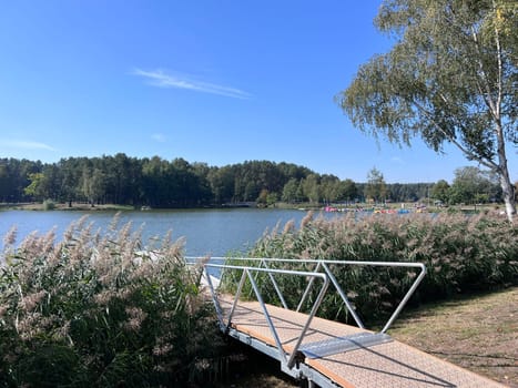 Metal wooden footbridge and many rushes near lake sunny autumn summer day in Lithuania, Druskininkai. High quality photo