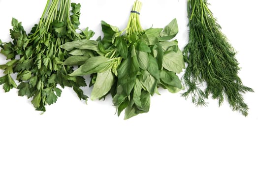 Thyme Rosemary Tarragon fresh garden herbs isolated on white background