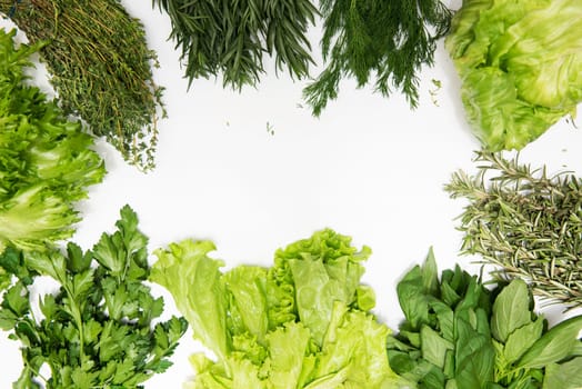 Different types of fresh garden herbs isolated on white background
