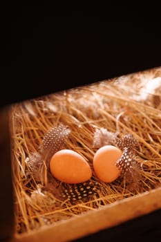 Two brown guinea fowl eggs lie on the straw, next to the feathers