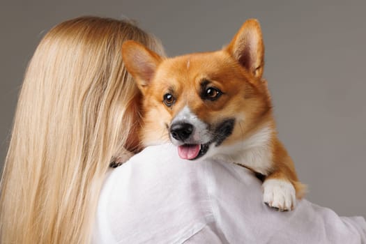 a brunette girl holds and hugs a red corgi dog on a clean light background, the concept of love for animals. High quality photo