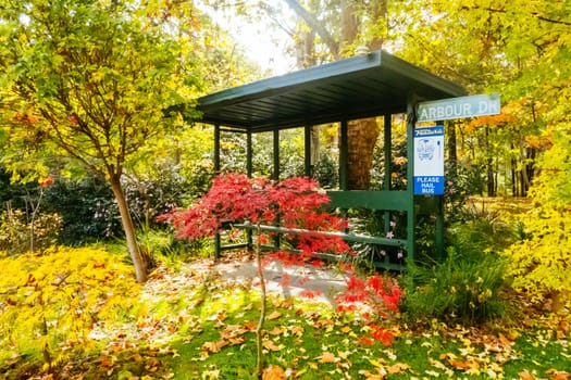 Autumn colours shine in a garden in Warburton on a cool autumn day in Victoria, Australia