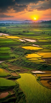 Green rice terraces bask in sunset glow, nature Ts masterpiece in warm hues.