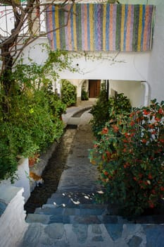 Lush narrow alley with a colorful rug hanging, surrounded by greenery and a cobblestone path, Alpujarras, granada, andalucia, espa a,