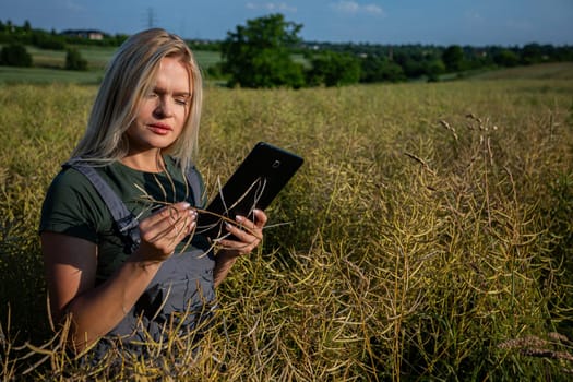 A woman farmer is checking the quality of rapeseed on the middle of the field and holding a tablet. She is checking the information about her harvest. She owns a rapeseed field and is checking this year's harvest. She is an experienced farmer, caring for her crops in a vast field. She has blonde hair. She is wondering if the harvest is succesful. The soil is fertile and productive. The rapeseed is yellow and ready for harvest. Satisfied with the bountiful and lavish harvest, the woman farmer, adorned in working clothes and tanned skin, gazes upon the expansive yellow landscape with a sense of fulfillment. With the blue sky, she stands straight and holds the rapeseed in one hand and the tablet on the other hand. Her face is worried and thoughtful.