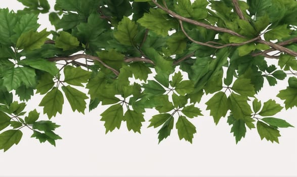 A close-up of a branch with green leaves. The leaves are arranged in a cluster and create a natural border across the image. The background is white.