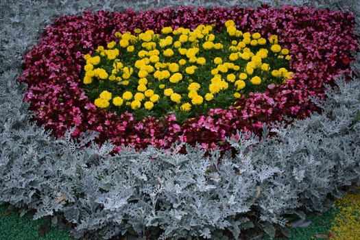 Gardens In Bloom, Landscape Design elements. Flower garden. Landscaping and garden design. Spring blooming in the park. Red and pink begonia and marigold.