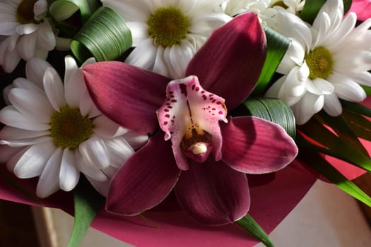 Selective focus of beautiful bouquet of chrysanthemum orchid flowers in pink color. Floral shop concept. Handsome fresh bouquet. Group of purple vanda orchid and white Chrysanthemums