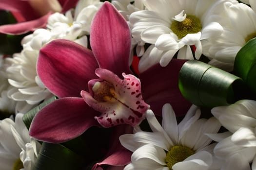 Selective focus of beautiful bouquet of chrysanthemum orchid flowers in pink color. Floral shop concept. Handsome fresh bouquet. Group of purple vanda orchid and white Chrysanthemums