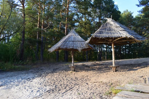 Lonely sandy beach on the river in spruce forest. Growing coniferous trees and sand dunes of the river shore at sunset. Sunlight, evening. Idyllic landscape. Beach umbrellas against the spruce trees