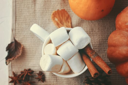 A cozy autumn setting with a cup of hot chocolate topped with marshmallows, cinnamon sticks, pumpkins.