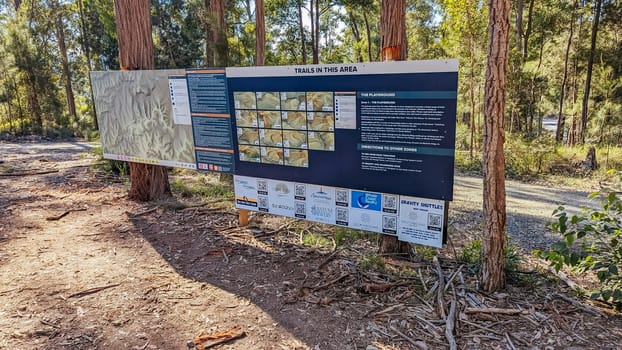 Narooma mountain bike trails near Dalmeny in New South Wales south coast, Australia