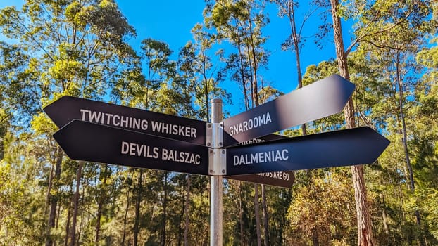 Narooma mountain bike trails near Dalmeny in New South Wales south coast, Australia