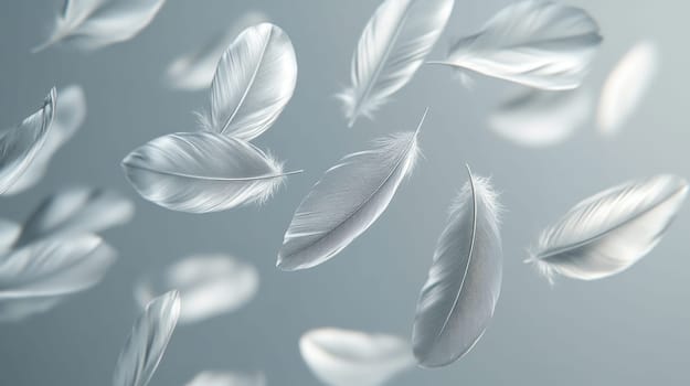 Floating white feathers on a soft grey background. Concept of lightness, purity, and serenity.