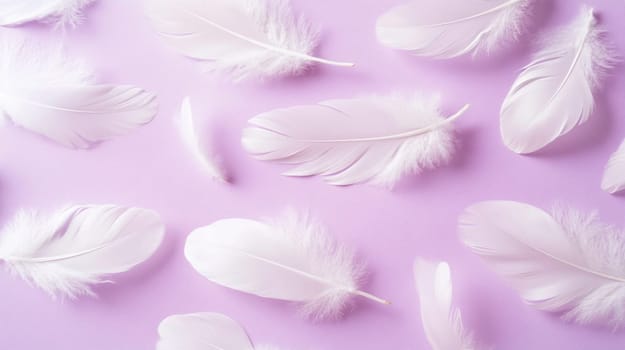 White feathers on a pastel purple background. Concept of lightness, softness and purity.