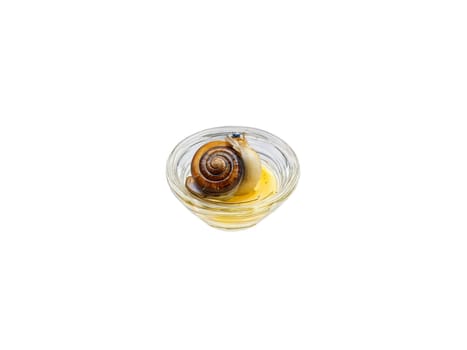 Escargot buttery and garlicky in a transparent glass snail dish French gourmet. Food isolated on transparent background.
