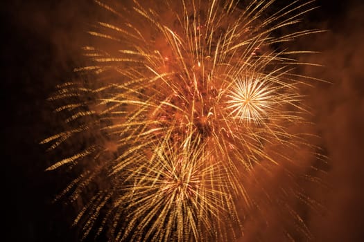 Colorful fireworks on the black sky background