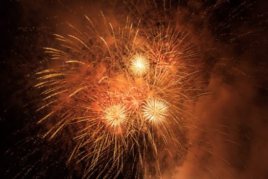 Colorful fireworks on the black sky background