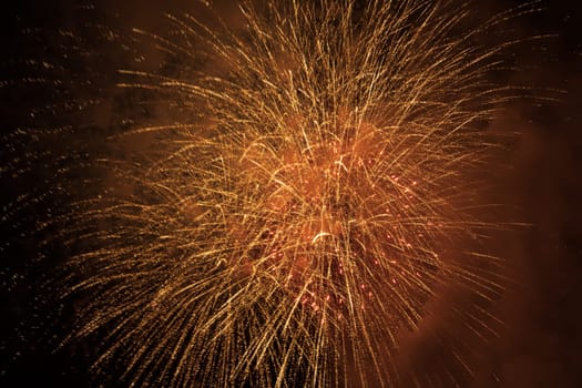 Colorful fireworks on the black sky background