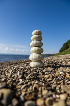 Stacked sea urchins on a pebble beach