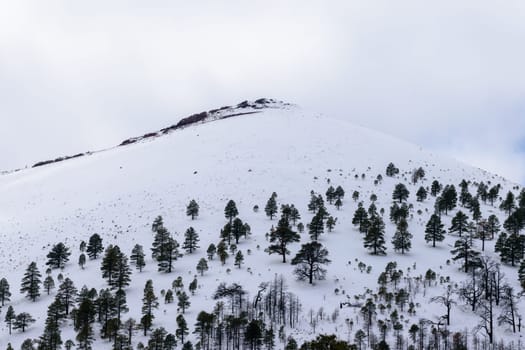 Experience the serene beauty of Sunset Crater Volcano National Monument in Flagstaff, Arizona. The landscape is blanketed in snow and decorated with scattered trees in this winter scene - USA