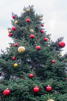 A towering evergreen tree decorated with vibrant red and gold ornaments stands against a cloudy winter sky, capturing the festive spirit of the holiday season.