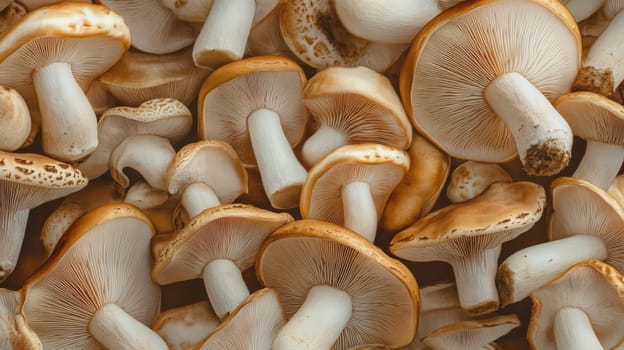 Mushrooms. Abstract background for your design