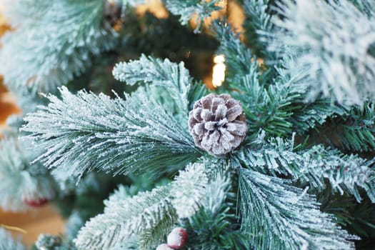 A closeup image of a frosted pine branch with a lovely pine cone, creating a winter scene