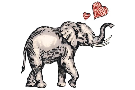 A drawing of an elephant with two hearts on its trunk. The elephant is surrounded by a white background