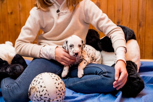 Child, dog and animal playing on sofa for bonding together, connection or adoption in living room.