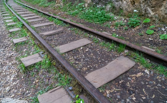 A close-up view of a railroad track, featuring wooden ties and rusted steel rails. The track winds through a lush, green forest, suggesting a scenic train journey.