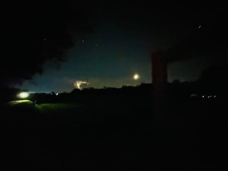 a night sky with trees and stars. High quality photo