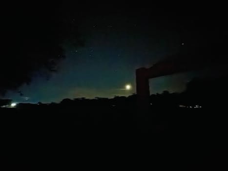 a night sky with trees and stars. High quality photo