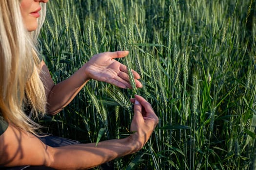 On a sunny day, a young and pretty female farmer crouches in the field, attentively observing her wheat crops. Dressed in practical work attire, her blonde hair illuminated by the sunlight. She embraces the wheat stalks with her hands, symbolizing her connection to the land and her dedication to nurturing the crops. She is carefully touching the wheat adn checking its quality. The sun casts a warm glow on her face and hair, highlighting her features and emphasizing her sense of contentment and satisfaction. She is focused as she tends to do her agricultural duties with care and diligence. This captivating image captures the essence of rural life, where the beauty of nature intertwines with the hard work and dedication of those who cultivate the land