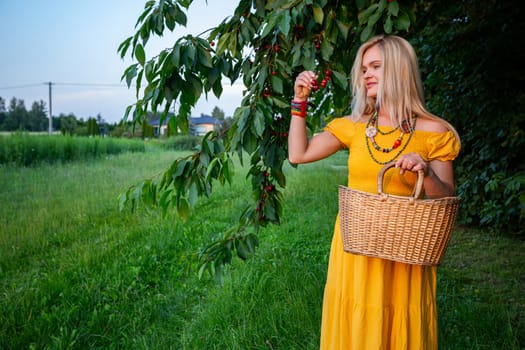 Amidst a verdant landscape of summer, a blonde woman with straight hair stands gracefully beside a cherry tree branch, adorning a grassy pathway. In her delicate hand, she holds ripe cherries, their vivid red hues signaling the peak of the harvest season. Clad in a long, yellow dress, she radiates warmth and elegance against the lush backdrop. Her ensemble is complemented by colorful bead jewelry—a necklace and bracelet—adding a whimsical touch to her attire. With a fruit basket in one hand, she exudes contentment, her gaze fixed affectionately upon the bountiful fruits. It's a scene of abundance and serenity, where nature's gifts intertwine harmoniously with the woman's joyful presence. As she stands amidst the flourishing surroundings, her smile embodies the tranquility and fulfillment of the moment. It's a snapshot of summertime bliss, where the vibrant colors of the landscape echo the vibrancy of her spirit. In this idyllic setting, the air is filled with the promise of summer's delights, and the woman becomes a focal point of beauty and grace amidst nature's bounty.