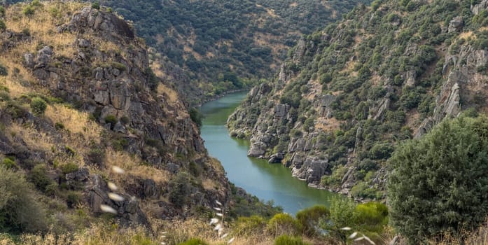 A serene river meanders through rocky terrain, enveloped by lush vegetation.