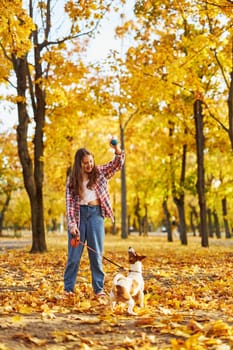 Happy joyful little girl playing with her funny Jack Russell Terrier in beautiful autumn forest, child playing and having fun with dog during walk in nature. Children and pets outdoors