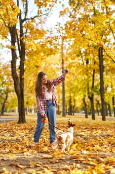 Happy joyful little girl playing with her funny Jack Russell Terrier in beautiful autumn forest, child playing and having fun with dog during walk in nature. Children and pets outdoors