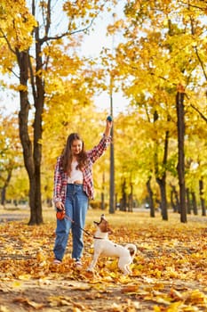 Happy joyful little girl playing with her funny Jack Russell Terrier in beautiful autumn forest, child playing and having fun with dog during walk in nature. Children and pets outdoors