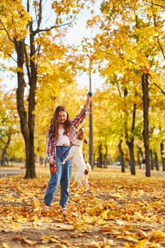Happy joyful little girl playing with her funny Jack Russell Terrier in beautiful autumn forest, child playing and having fun with dog during walk in nature. Children and pets outdoors