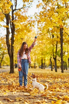 Happy joyful little girl playing with her funny Jack Russell Terrier in beautiful autumn forest, child playing and having fun with dog during walk in nature. Children and pets outdoors