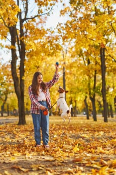 Happy joyful little girl playing with her funny Jack Russell Terrier in beautiful autumn forest, child playing and having fun with dog during walk in nature. Children and pets outdoors