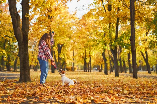 Happy joyful little girl playing with her funny Jack Russell Terrier in beautiful autumn forest, child playing and having fun with dog during walk in nature. Children and pets outdoors